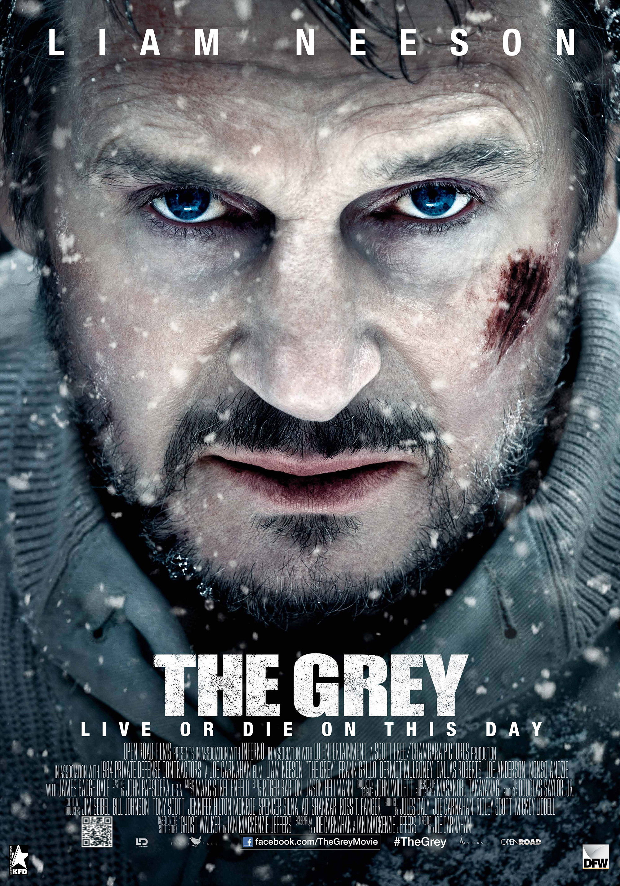 The Grey